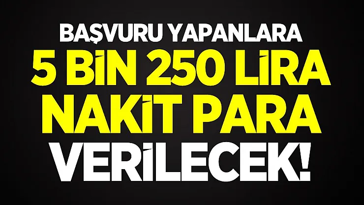 Başvuru yapanlara 5 bin 250 lira nakit para verilecek! Başvuru detayları belli oldu