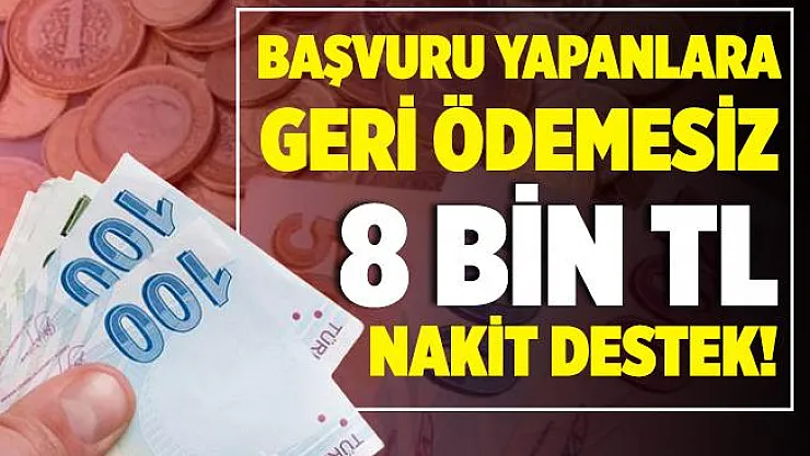 Başvuru yapanlara geri ödemesiz 8 bin lira nakit para desteği veriliyor! Ödemeler bir sonraki ay hesaplarda!