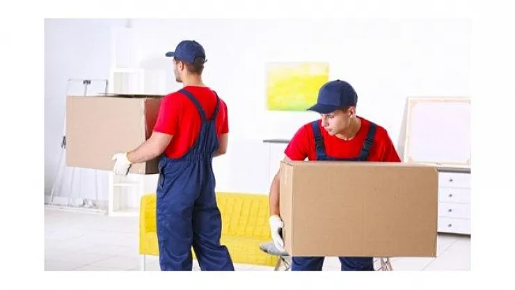 Belediyeye personel alımı yapılacak! Başvurular İŞKUR üzerinden yapılacak! En az ilköğretim mezunu adaylar başvuru yapabiliyor!