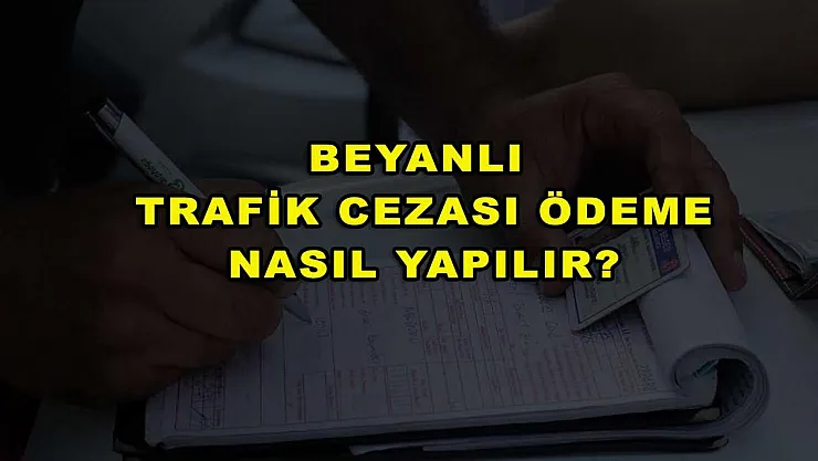Beyanlı Trafik Cezası Ödeme Nasıl Yapılır?