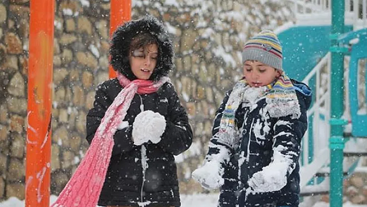 Bingöl'de yarın okullar tatil edildi