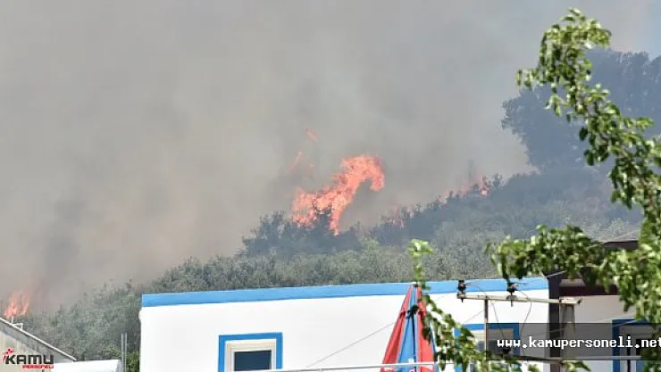 Bodrum'da Çıkan Yangın Yerleşim Yerlerine Yaklaşıyor