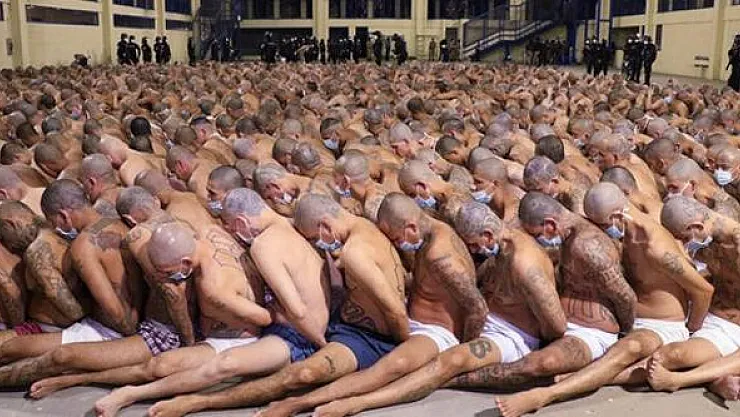 Bu fotoğraflar görenleri şoke etti!