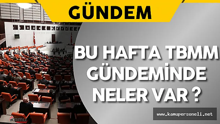 Bu Hafta TBMM Gündeminde Neler Var ?
