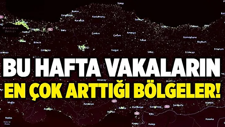 Bu hafta vakaların en çok arttığı bölgeler açıklandı!