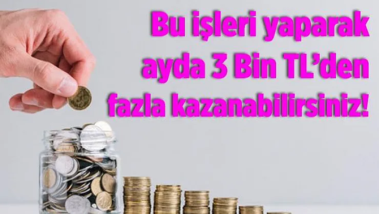 Bu işleri yaparak evden aylık 3 bin TL'den fazla kazanabilirsiniz!