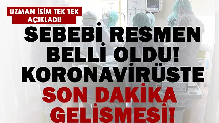 Bu kişiler koronavirüsü yatağa düşerek geçiriyor! Nedeni belli oldu!