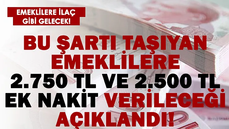 Bu şartı taşıyan emeklilere 2.750 ve 2.500 TL ek nakit verileceği açıklandı!