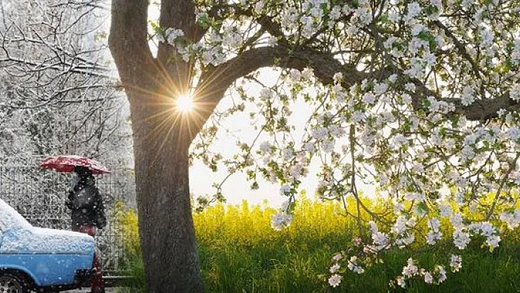 Bu Sene Neden Bu Kadar Soğuk Oldu? Bahar Ne Zaman Geliyor? İşte Cevabı…