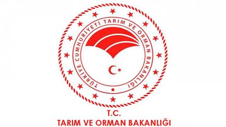 Bu ürünlere dikkat! 386 üründe taklit uyarısı! Bakanlık açıkladı