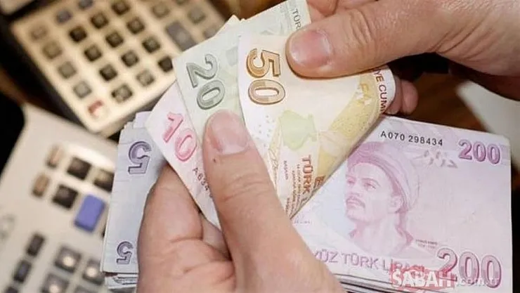 Bunu yapana 767 TL veriliyor! Devletten ilave destek geliyor!