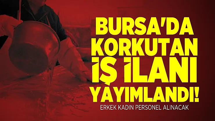 Bursa'da korkutan iş ilanı yayımlandı! Erkek kadın personel alınacak