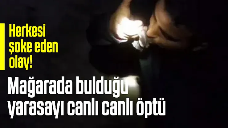 Bursalı Maceracı İbrahim Sargın'dan herkesi şok eden hareket! Mağarada bulduğu yarasayı canlı canlı öptü