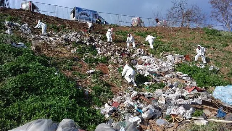 Büyükada'da 25 ton atık çöp toplandı!