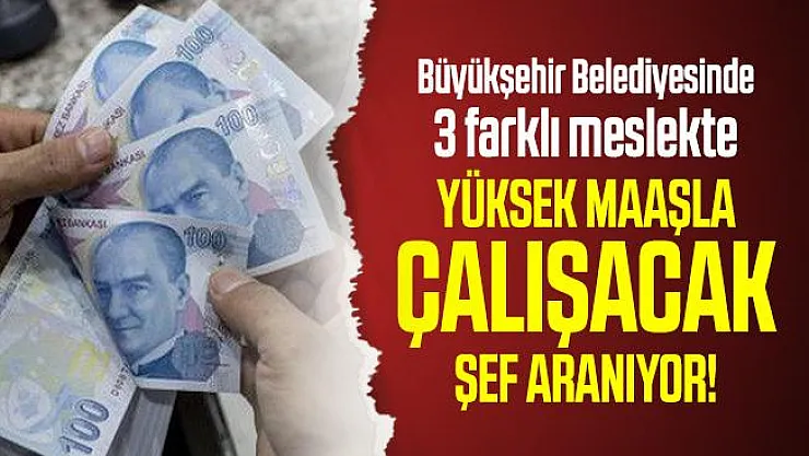 Büyükşehir Belediyesinde 3 farklı meslekte yüksek maaşla çalışacak şef aranıyor!