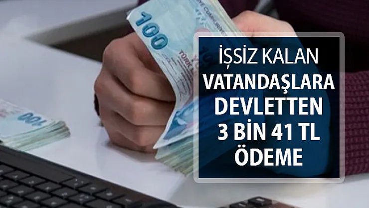 Çalışmayan Vatandaşlara Devletten 3 Bin 41 TL Ödeme !