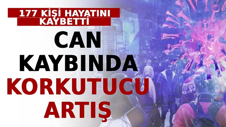 Can Kaybında Korkutucu Artış! 177 Kişi Hayatını Kaybetti