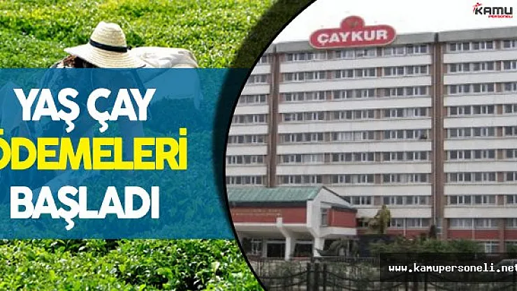 ÇAYKUR:" Üreticilere Yaş Çay Ödemesi Yapılmaya Başlandı"