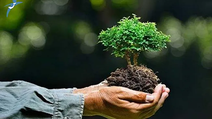 Çevre Görevlisi Vize Yenileme Eğitimi Başvuruları Başladı