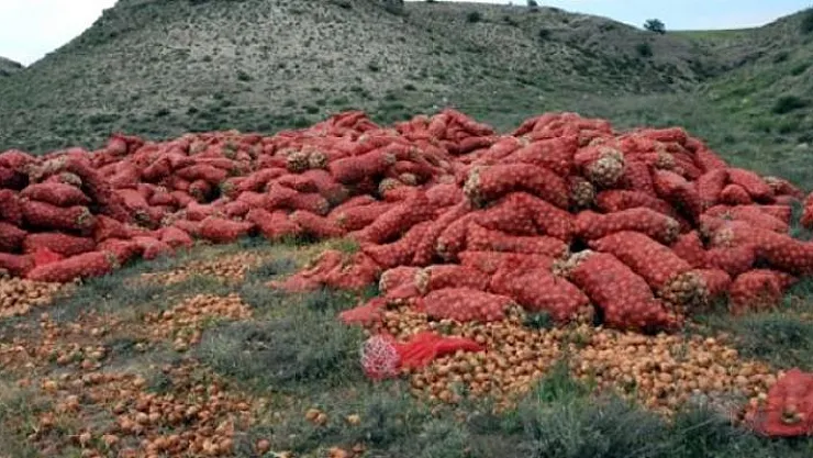 Çiftçiler kuru soğan ihracatının kısıtlamasına tepki gösterdi!