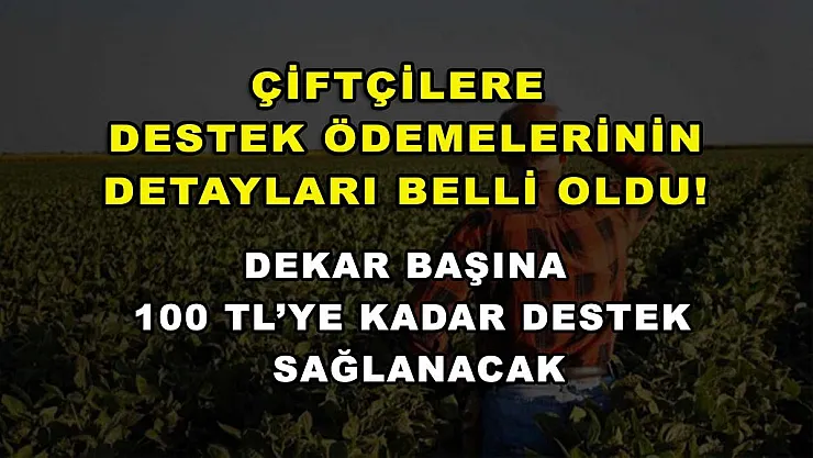 Çiftçilere destek ödemelerinin detayları belli oldu! Dekar başına 100 TL'ye kadar destek sağlanacak