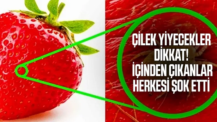 Çilek yiyecekler dikkat! İçinden çıkanlar herkesi şok etti