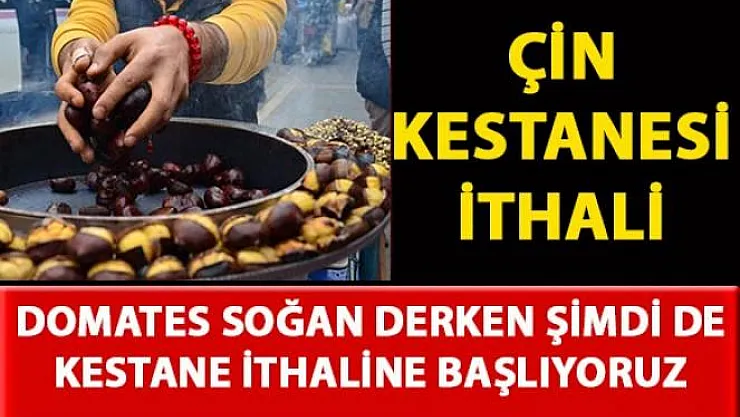 Çin kestanesi ithal edilmesine üreticiden büyük tepki! Neden İthal Ediyoruz?