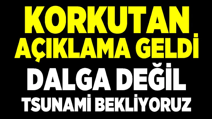 Corona virüs salgınında korkutan 2. dalga açıklaması! Dalga olarak değil Tsunami olarak görürüz!