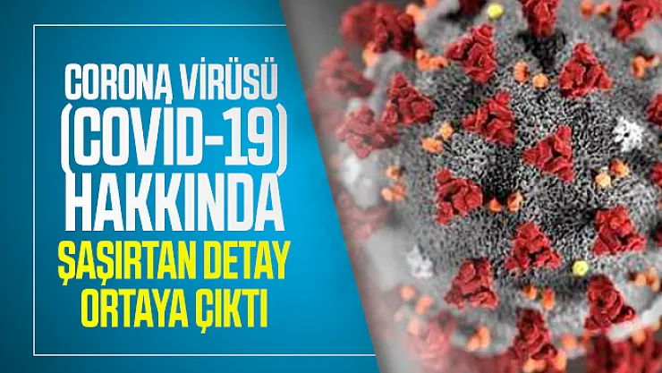 Corona virüsü  (Covid-19) hakkında şaşırtan detay ortaya çıktı!