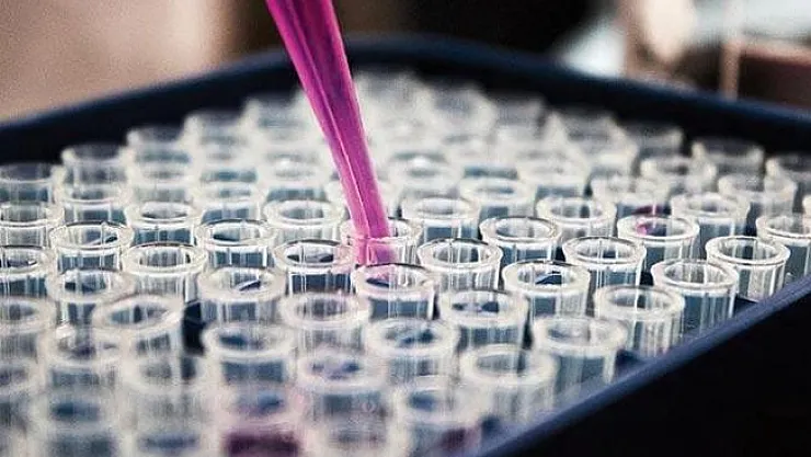 Corona virüsüne karşı yüzde yüz etkili bir antikor üretildi!