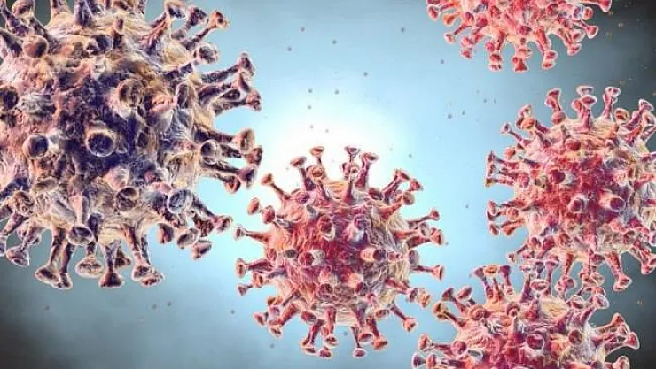 Coronavirus nedir? Etkileri nasıl görülür? Coronavirus nasıl bulaşır? Tedavasi var mı?
