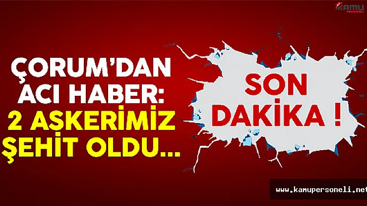 Çorum'da Askeri Araç Kaza Yaptı: 2 Asker Şehit 14 Kişi Yaralı