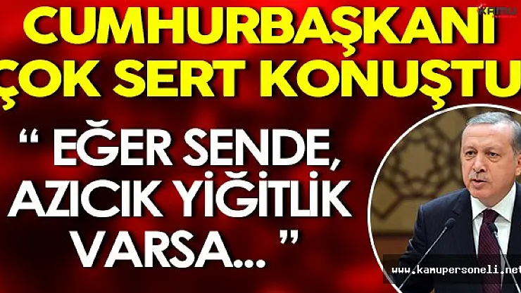 Cumhurbaşkanı Erdoğan Çok Sert Konuştu: " Sende azıcık yiğitlik varsa... "