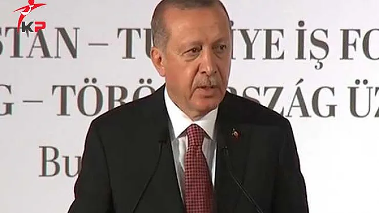 Cumhurbaşkanı Erdoğan Macaristan Ziyaretinde Önemli Açıklamalarda Bulundu!