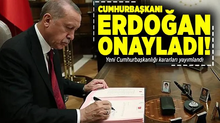 Cumhurbaşkanı Erdoğan onayladı! Yeni Cumhurbaşkanlığı kararları Resmi Gazete'de yayımlandı