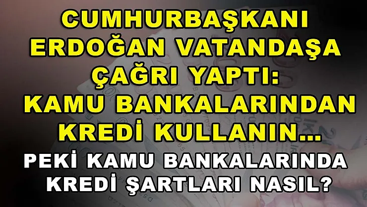 Cumhurbaşkanı Erdoğan vatandaşa çağrı yaptı: Kamu bankalarından kredi kullanın… Peki kamu bankalarında kredi şartları nasıl?