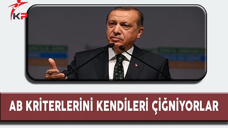 Cumhurbaşkanı Erdoğan: 'Yıllarca AB Kriterleri Adı Altında Bize Dayattıkları Ne Varsa Şimdi Hepsini Kendileri Çiğniyor'