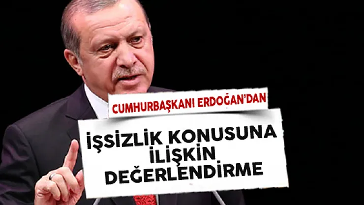 Cumhurbaşkanı Erdoğan'dan İşsizlik Konusuna Dair Değerlendirme