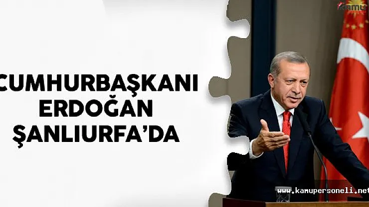Cumhurbaşkanı Recep Tayyip Erdoğan Şanlıurfa'da