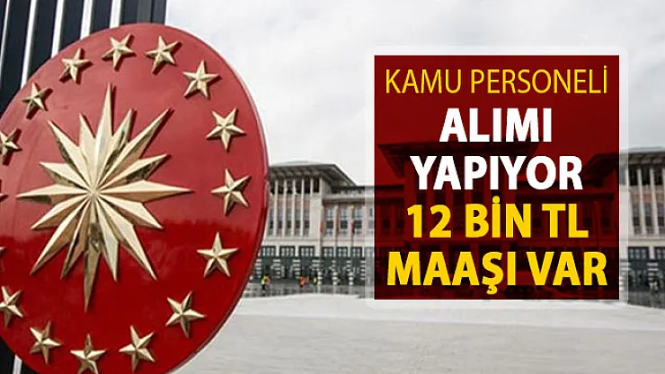 Cumhurbaşkanlığı Kamu Personeli Alımı Yapıyor ! 12 Bin 744 TL Maaş Verilecek