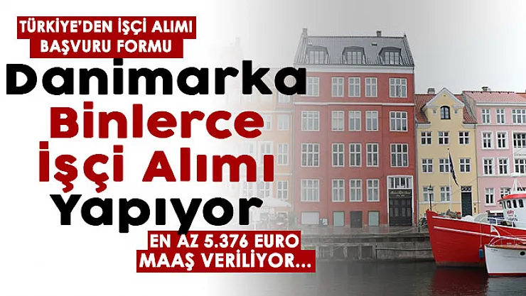 Danimarka Türkiye'den binlerce işçi alımı başvuru formu! En az 5 bin 376 Euro maaş veriliyor: İşte alım yapılacak personeller