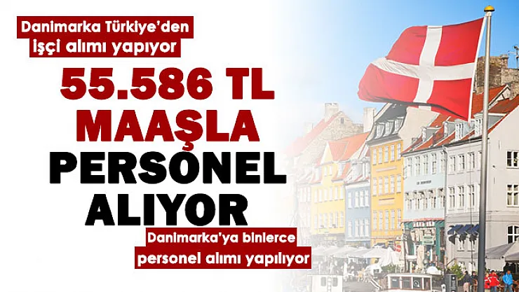 Danimarka Türkiye'den işçi alımı yapıyor! Farklı mesleklerden binlerce personel alımı: En düşük maaş 5 bin 376 Euro (75 bin 586 lira)