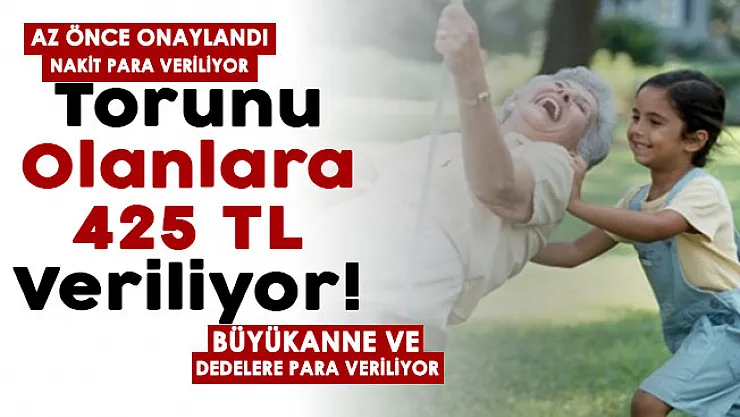 Dede ve büyükannelere destek veriliyor! Az önce onaylandı: Torun sahibi olanlara 425 TL para ödemesi başladı