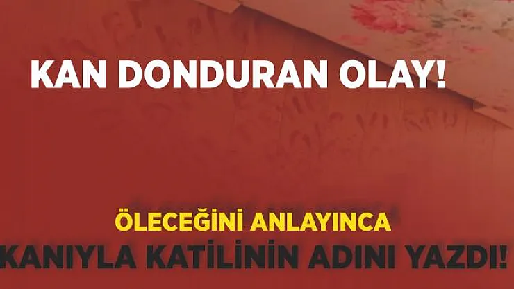 Defalarca kurşunlandı! Öleceğini anlayınca kanıyla parkeye not yazdı!