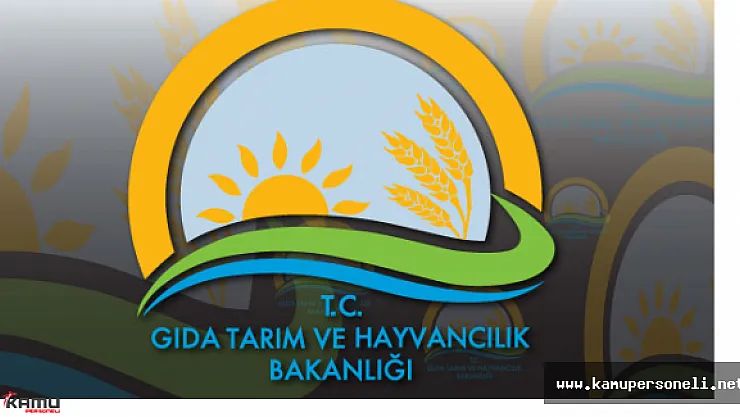 Denizli Gıda Tarım ve Hayvancılık İl Müdürlüğü Sözleşmeli Personel Alımı Başvuruları Sona Eriyor