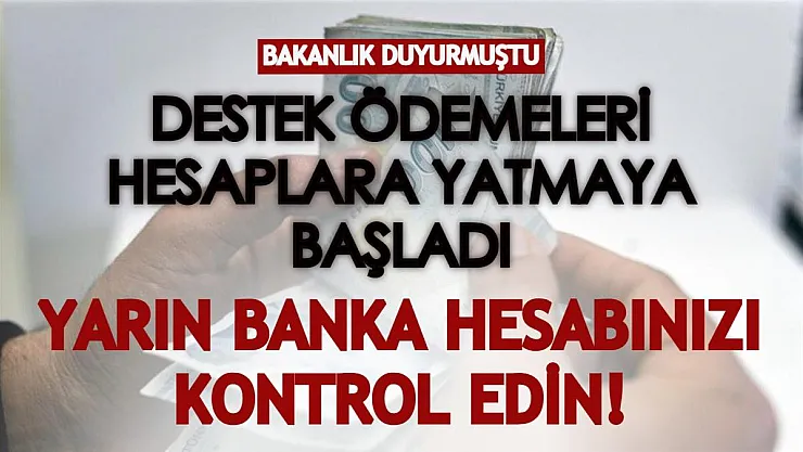Destek ödemeleri hesaplarınıza yatmaya başladı! Yarın banka hesabınızı kontrol edin!