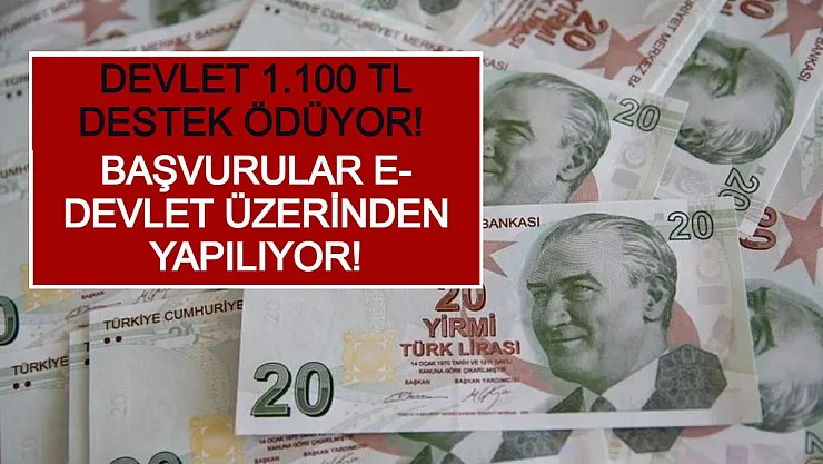 Devlet 1.100 TL Destek Ödüyor! Başvurular E- Devlet Üzerinden Yapılıyor!