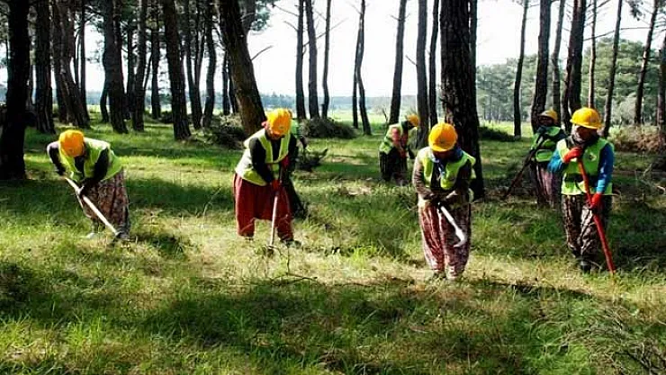 Devlet 15 İlde 15 Bin İşçi Alımı Yapıyor ! Alımlar Sınav Olmayacak