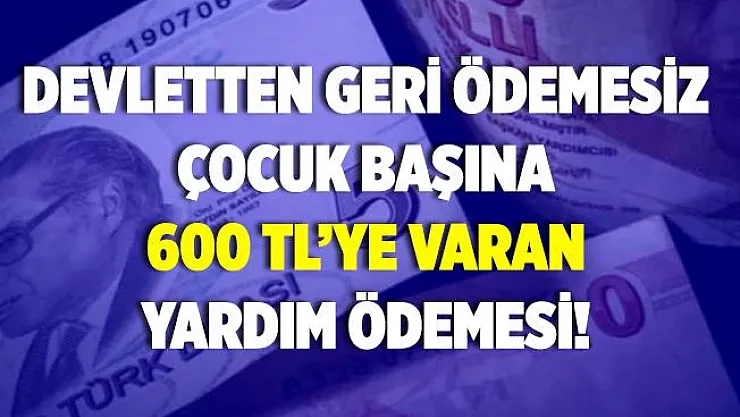 Devlet çocuk başına 600 TL'ye varan yardım ödemesi yapıyor! Geri ödeme yok!