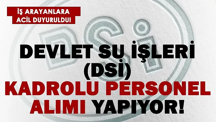 Devlet Su İşleri (DSİ) kadrolu personel alımı yapıyor! Başvuru şartları açıklandı!